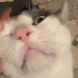 Meet your Posher, Kaitlyn